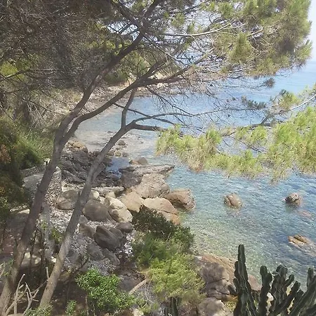 Adamo On The Sea * Cefalu